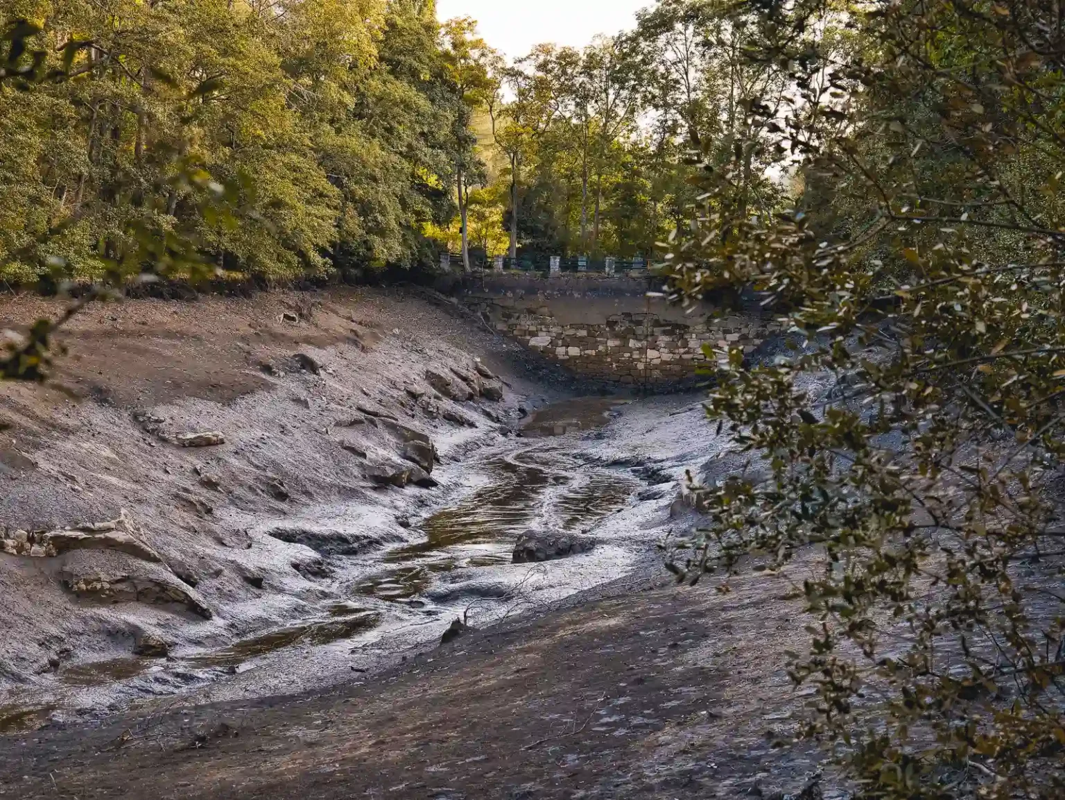 Fotografía de un pequeño arroyo de agua fluyendo entre rocas y barro. Las orillas muestran suelo erosionado con algunas piedras dispersas rodeada de árboles verdes.